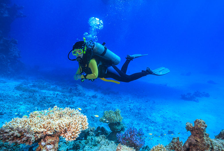 Scuba Diving at Key Largo, Florida