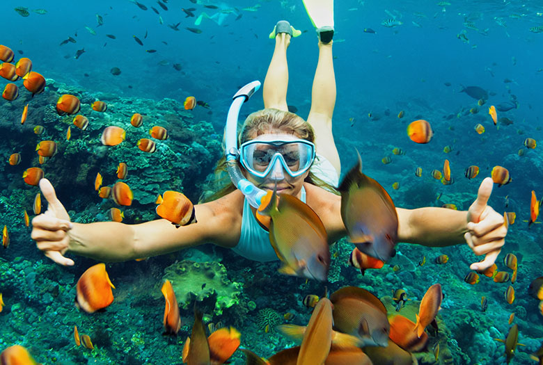 On-site Watersports of Playa Largo Resort & Spa, Autograph Collection, Key Largo, Florida