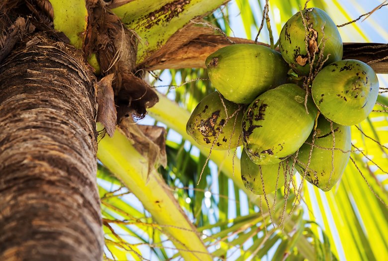 Sand Bar at Key Largo, Florida