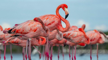 Everglades National Park
