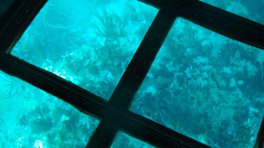 Keylargo Princes Glass Bottom Boat at Key Largo Florida