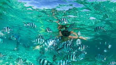Sundriver Snorkel Tours at Key Largo Florida