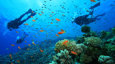 Scuba Fun at Key Largo Florida